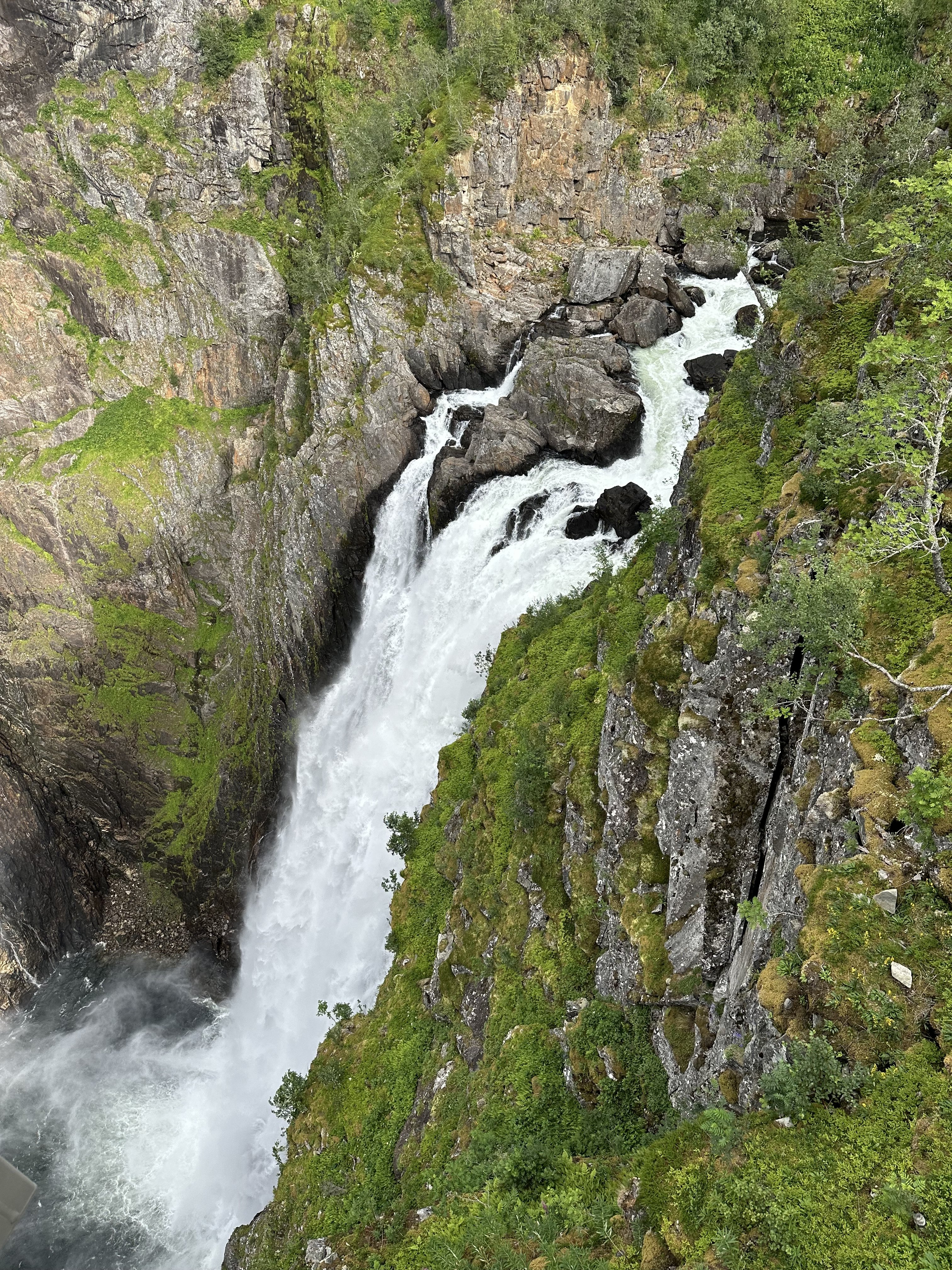 1851435d-105a-47a6-9bf6-c6a9b2abcacf