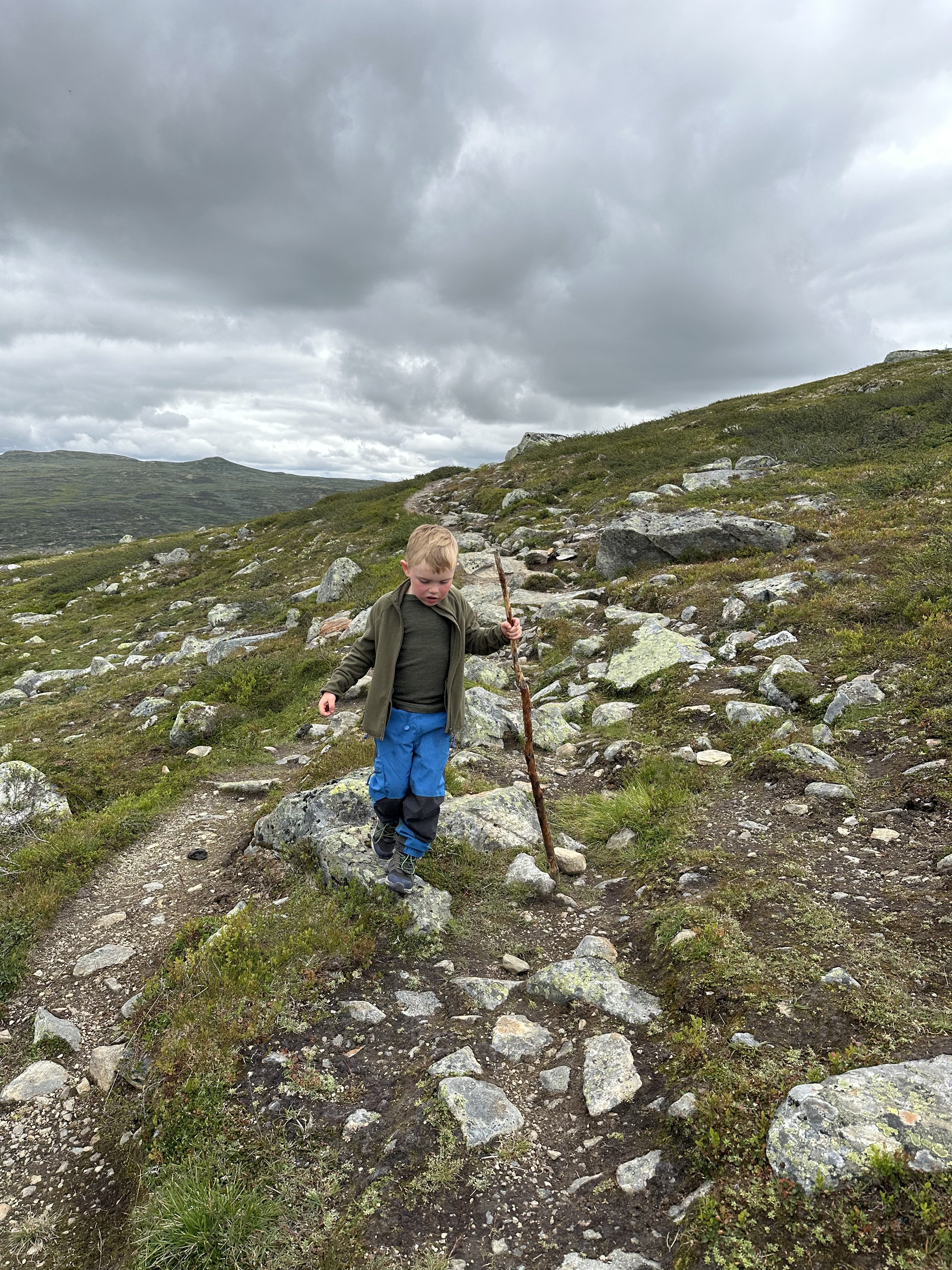 40797afd-f3c2-4597-a9f7-9ed86620a94c