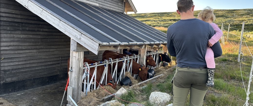 Hviledag på Rauhelleren