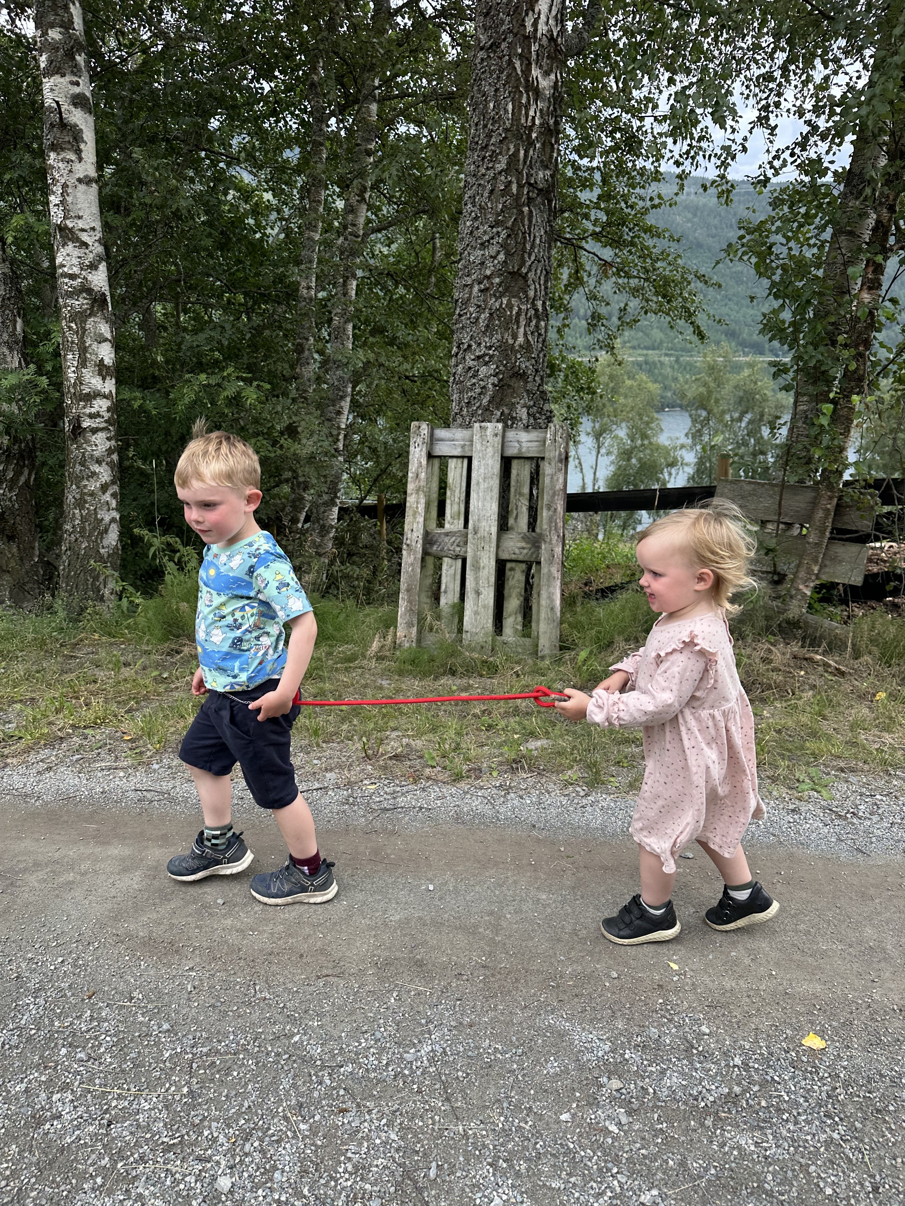 508da446-6dff-46e3-825b-80edf77d5a04