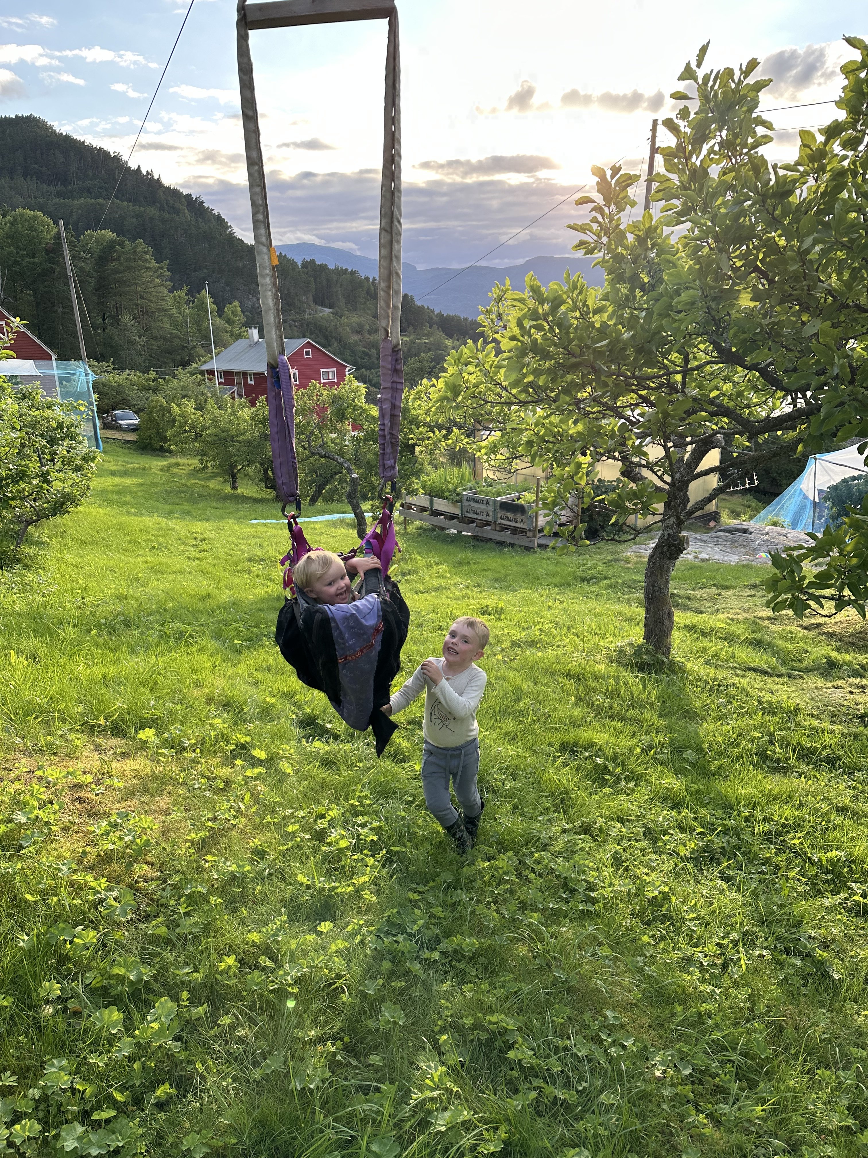 18da2fc1-4ed7-431d-aed8-88e3186ef16b