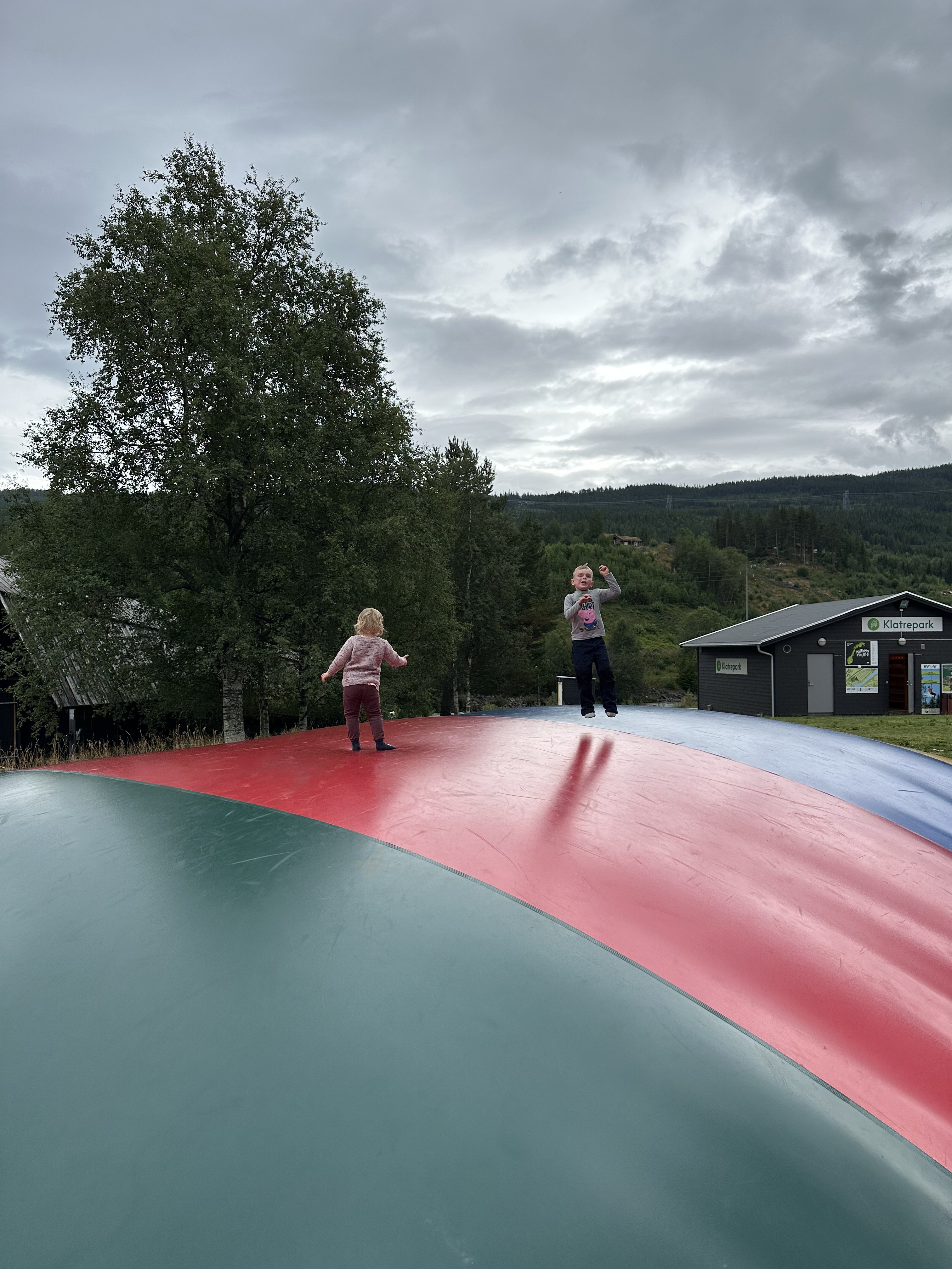 1b34ce33-66ee-4a37-b2e6-783696978abf