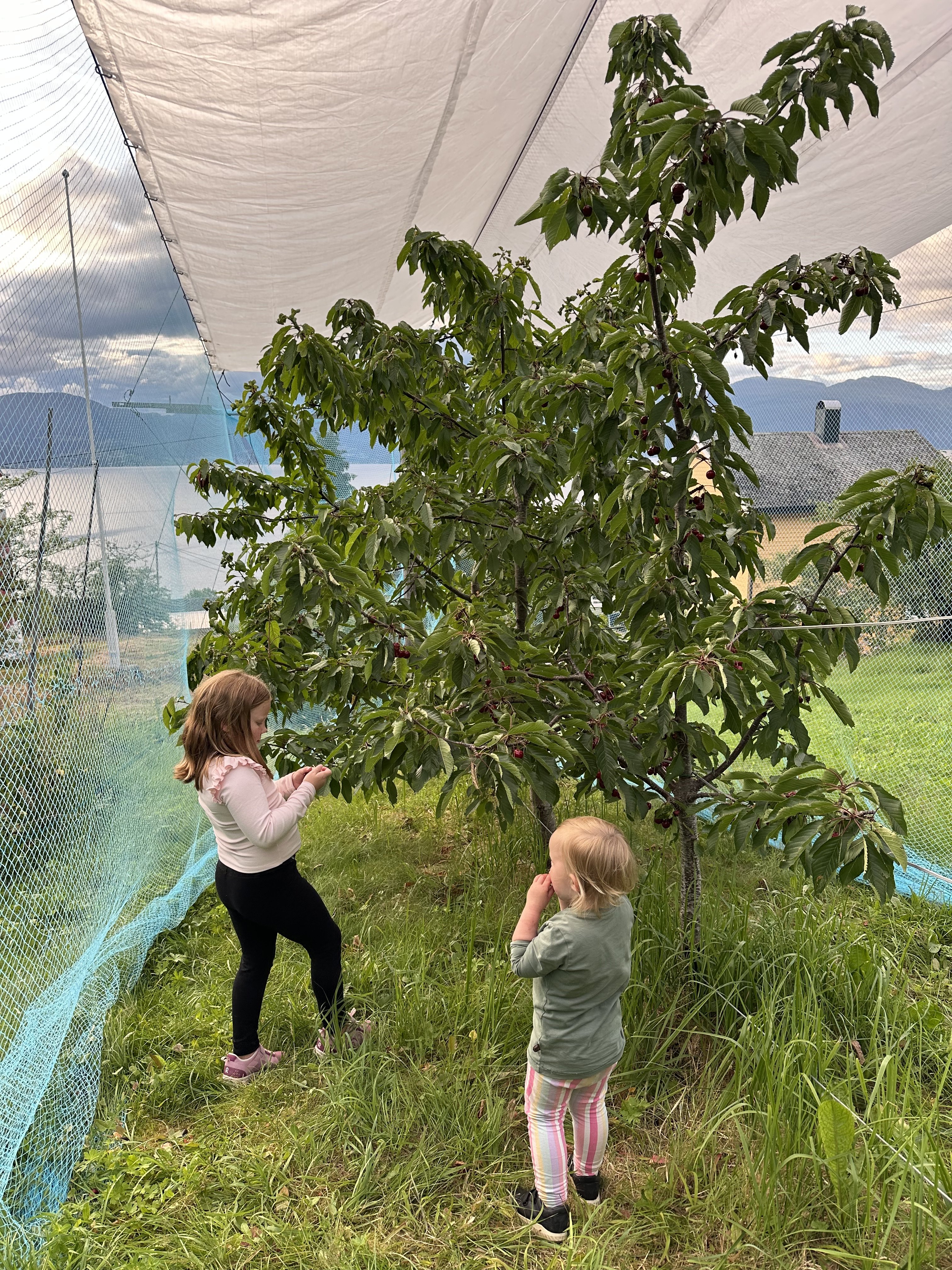 e690d243-1c12-40f7-bddc-81102617b87d