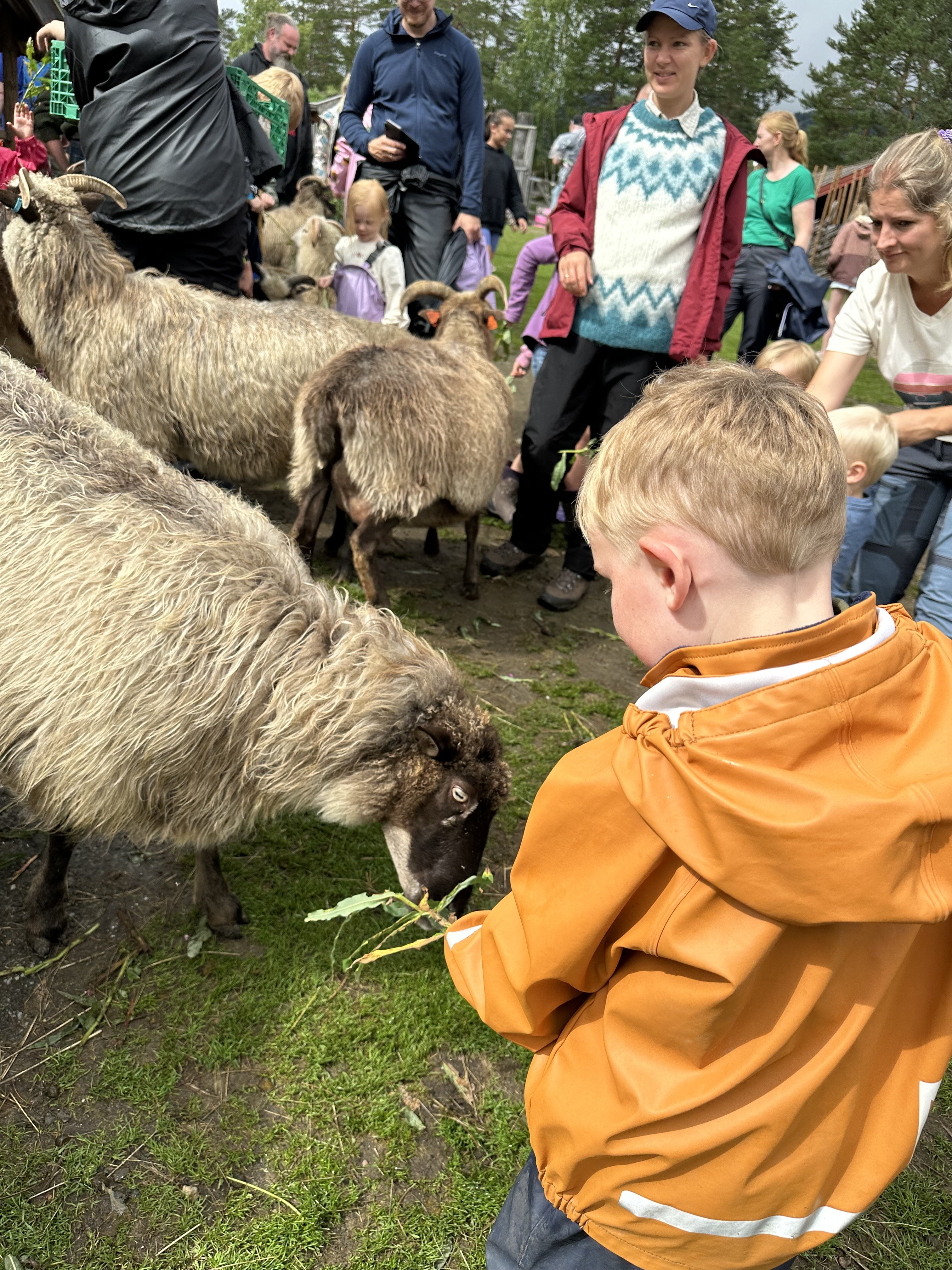 0af378ec-430d-4f29-90c1-0452c040c739