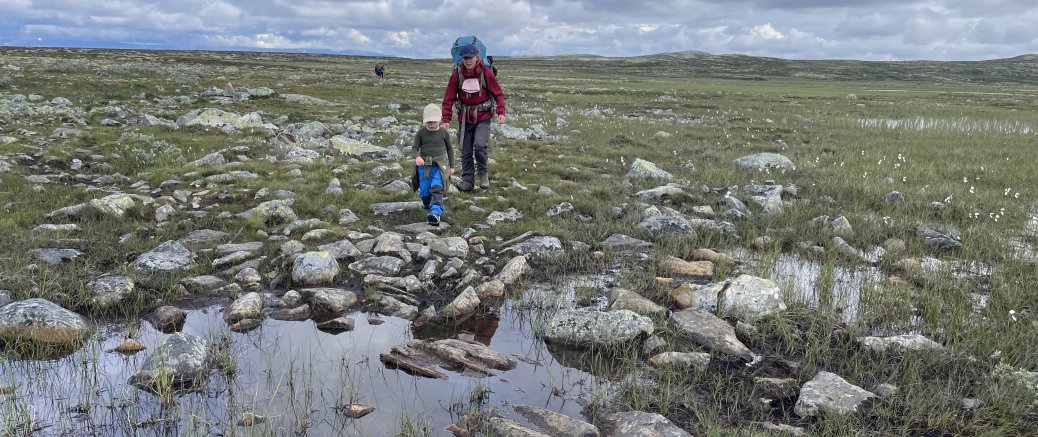 Halne til Rauhelleren