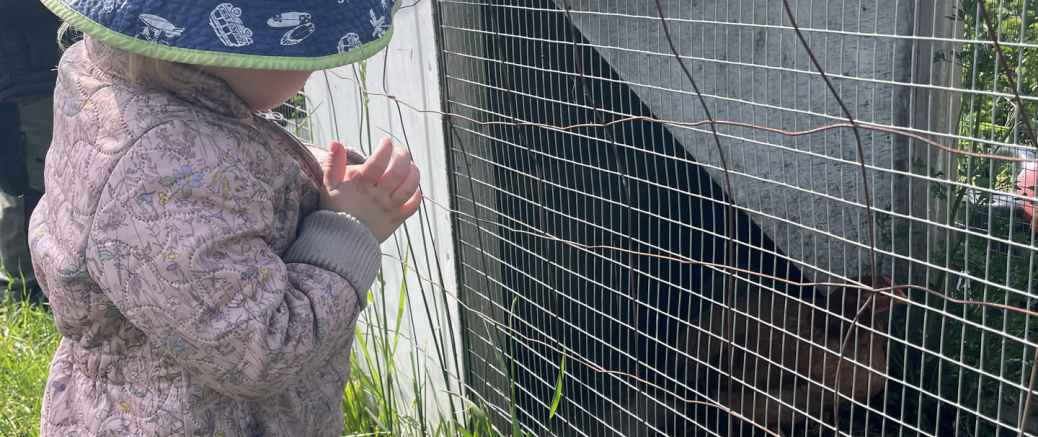 Dag 5: Gudhjem til Listed