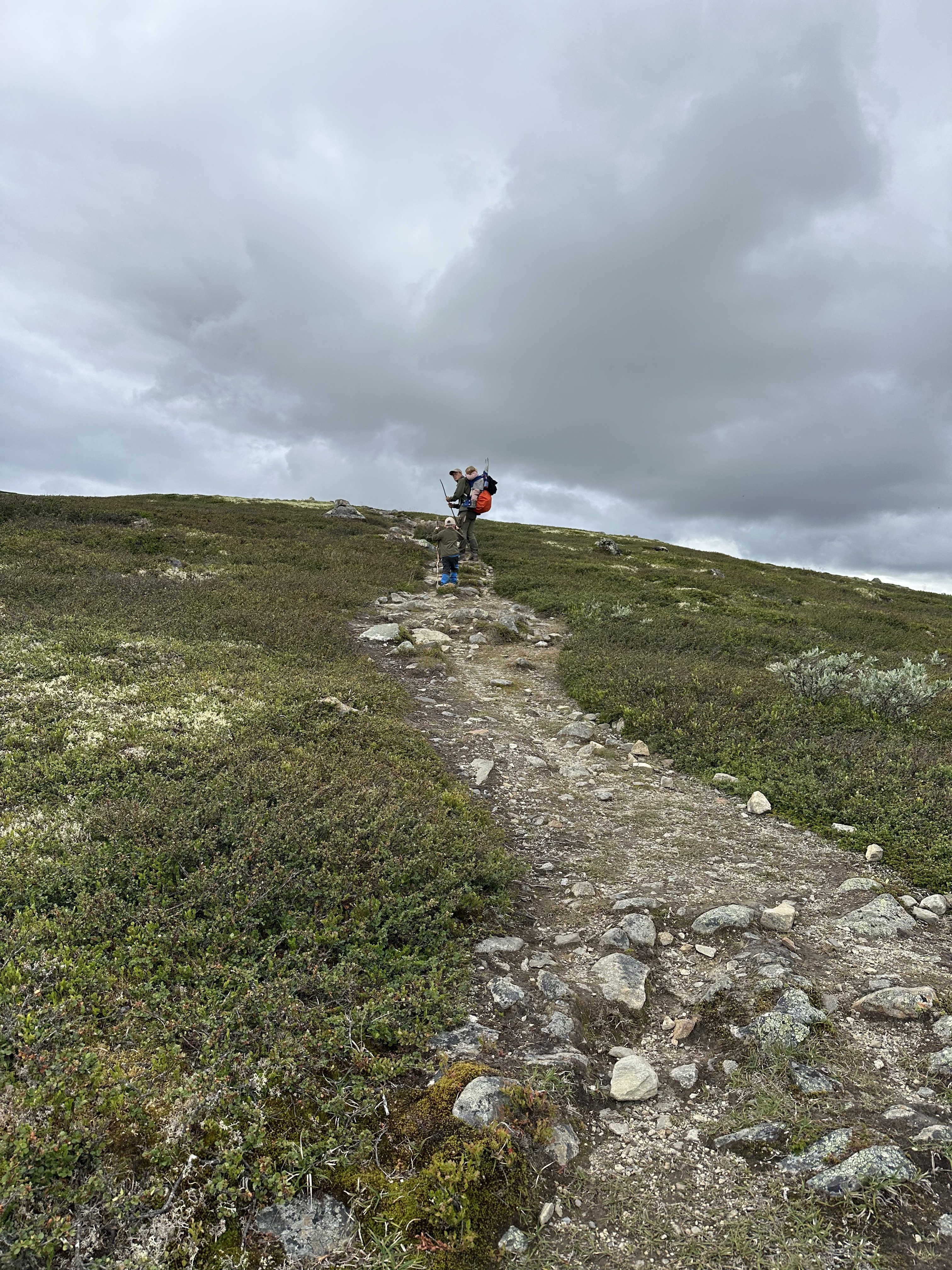 dbb495c9-bc61-4de0-8334-047333dc5c27