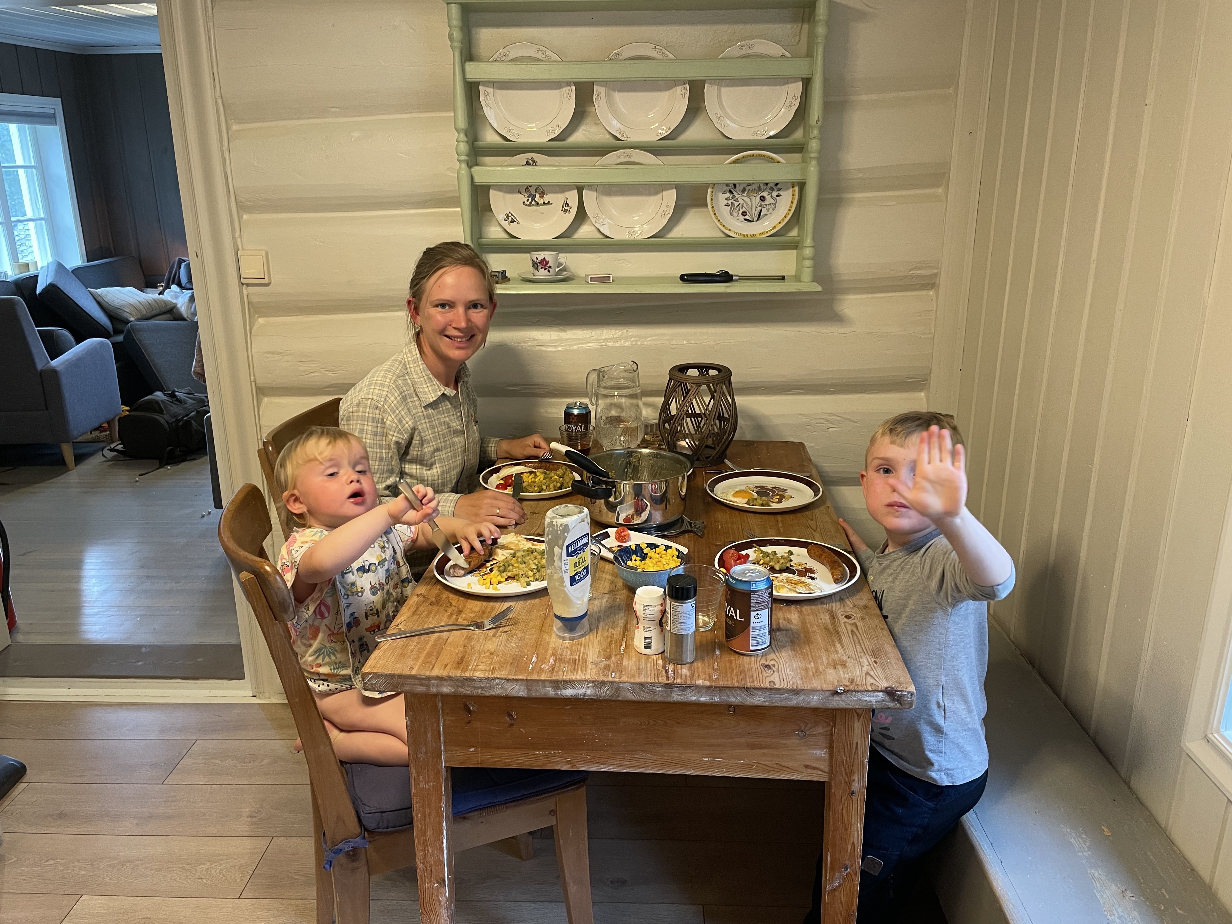 Aftensmad i hytten 9fabddf7-2bfa-4c84-bd51-bff17a6a8853