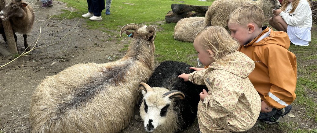 Bjørneparken i Flå