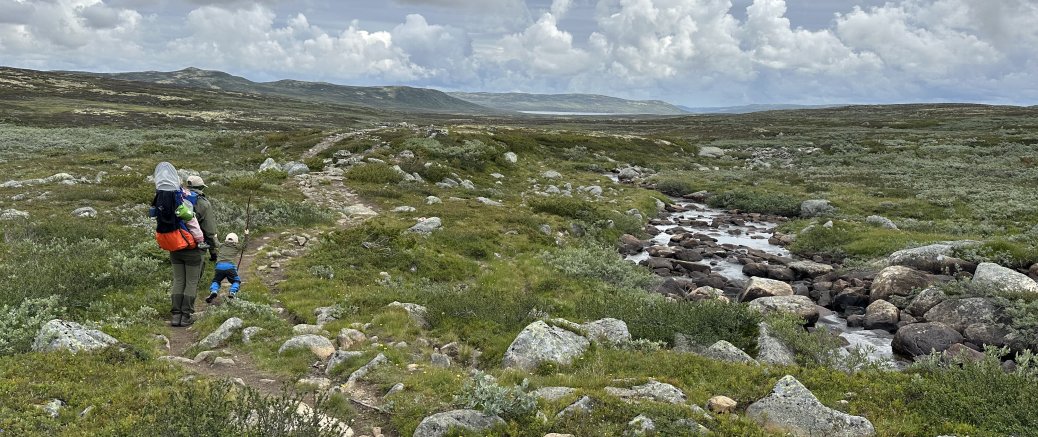 Rauhelleren til Heinseter