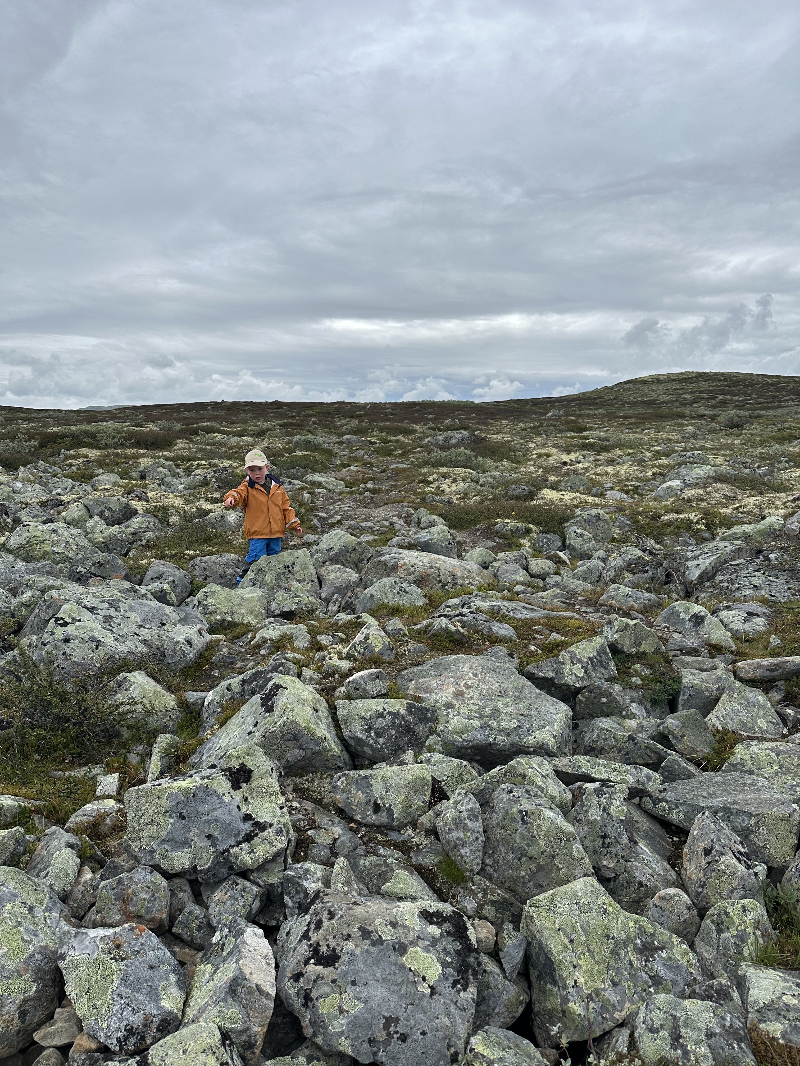 af433809-80f6-4402-b686-817f78d4c9f7